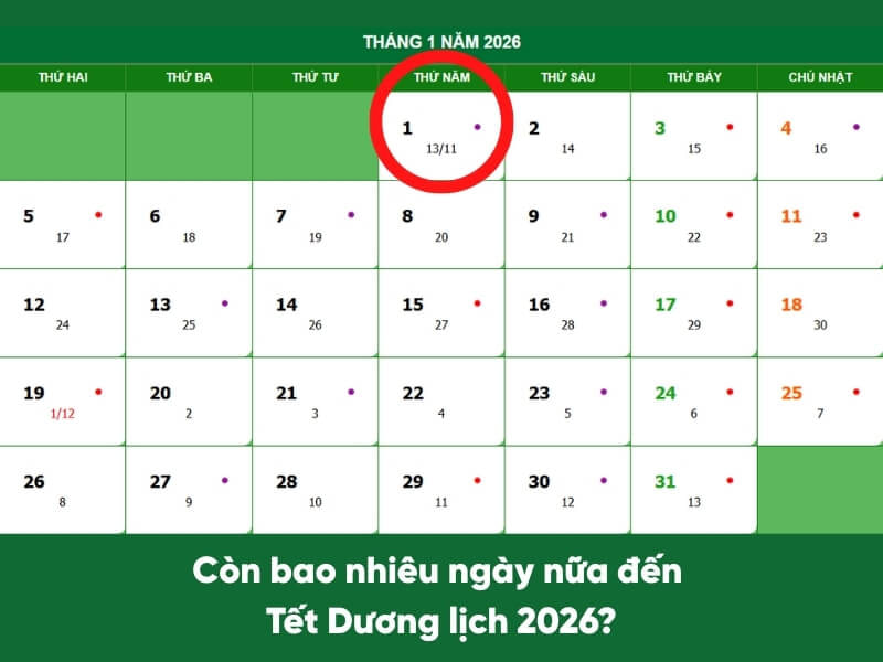 lịch Tết Dương Lịch 2026