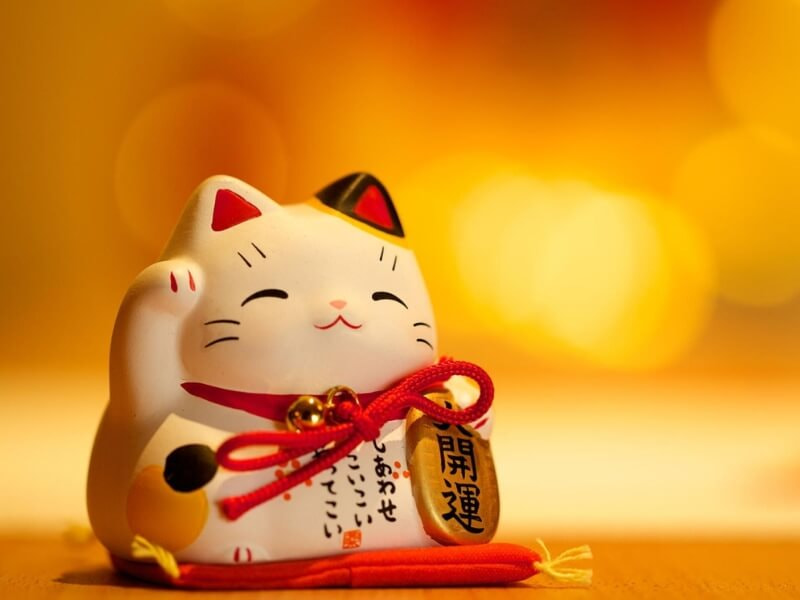 Mèo thần tài 