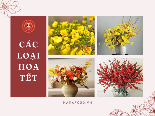 Các loại hoa Tết đẹp, mang lại may mắn và thịnh vượng cho cả năm