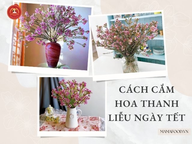 Cách cắm hoa thanh liễu ngày Tết tươi lâu, mang tới tài lộc