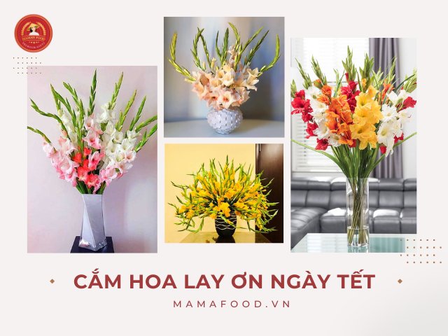 Cách cắm hoa lay ơn đẹp ngày Tết đón Tài Lộc vào nhà