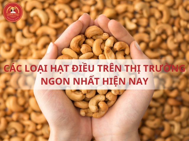 Tiêu chuẩn và cách phân loại hạt điều hiện nay