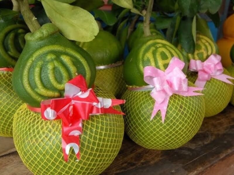 Trái cây độc đáo biếu Tết