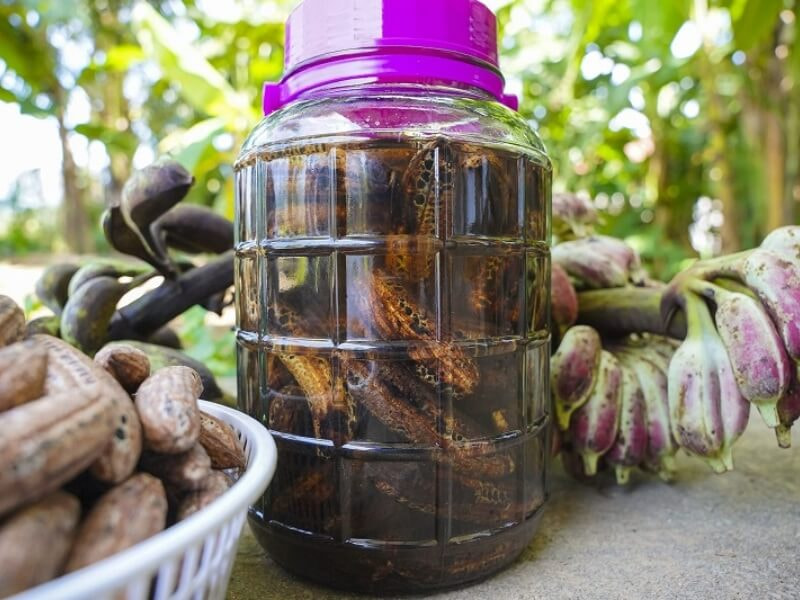 Rượu chuối ngâm tại nhà