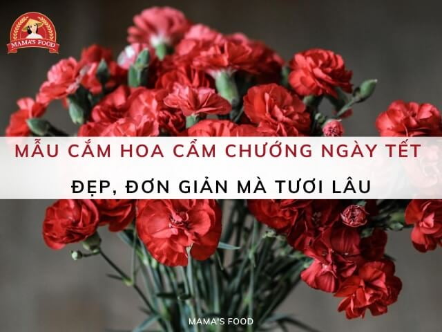 cắm hoa cẩm chướng