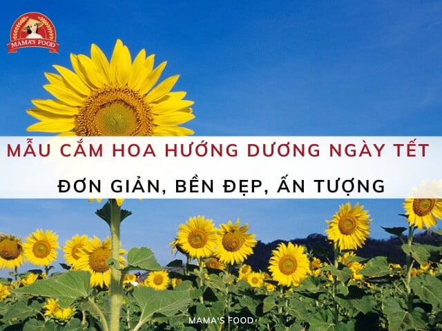 10+ Mẫu cắm hoa hướng dương ngày Tết bền đẹp ấn tượng