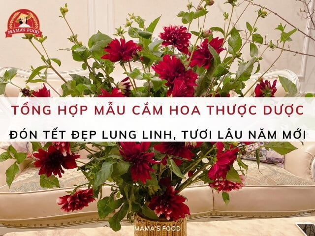 cắm hoa thược dược ngày tết