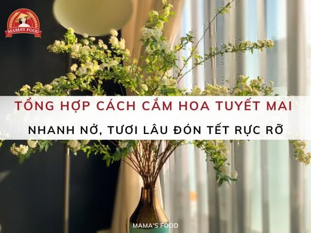 6 cách cắm hoa tuyết mai nhanh nở, tươi lâu đón Tết rực rỡ