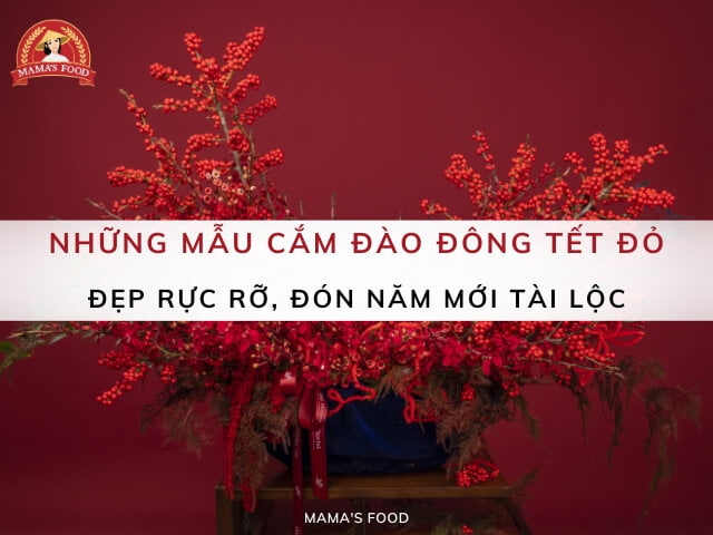 Mẫu cắm đào đông Tết đỏ đẹp rực rỡ, đón năm mới tài lộc