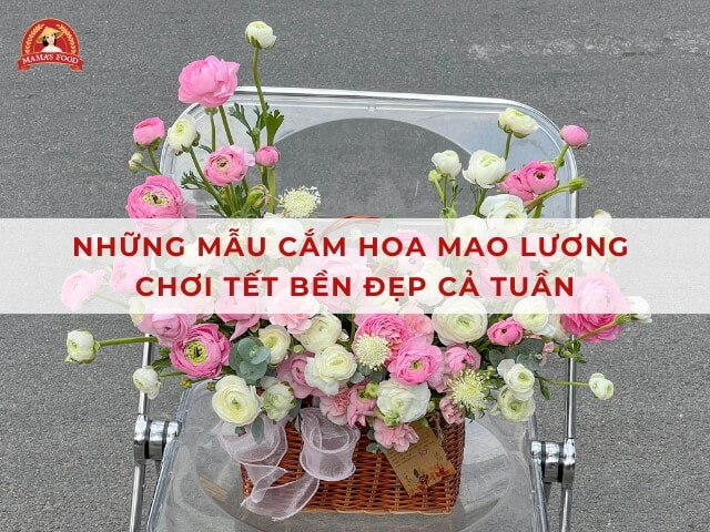 7 Mẫu Cắm Hoa Mao Lương Đẹp, Tươi Lâu Chưng Tết Cả Tuần