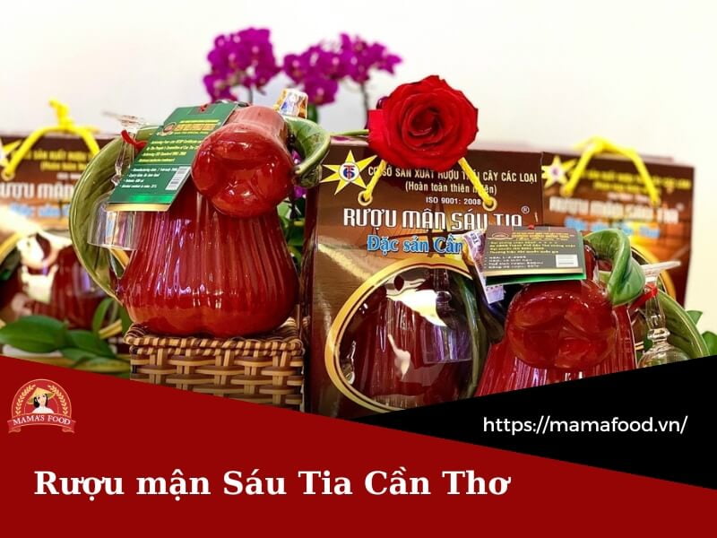 Rượu mận Sáu Tia Cần Thơ